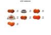 Set of polyurethane parts for the front suspension of VAZ 1118 KPP10000061