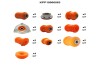 Set of polyurethane parts for front and rear suspension of VAZ 1118 KPP10000063